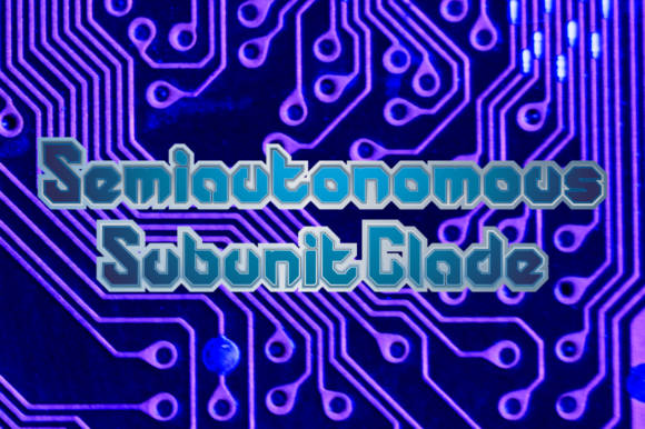 Semiautonomous Subunit Clade: Where Monastic Craft Meets the Cosmos
